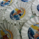 Значки для первоклассников и выпускников с розеткой. Белый, фото 2