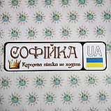 Номер на коляску Королеви пішки не ходять (Стародавній шрифт), фото 2