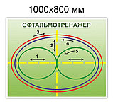 Тренажер для глаз Базарного, фото 4