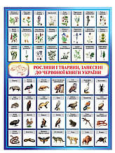 Плакат Красная книга Украины
