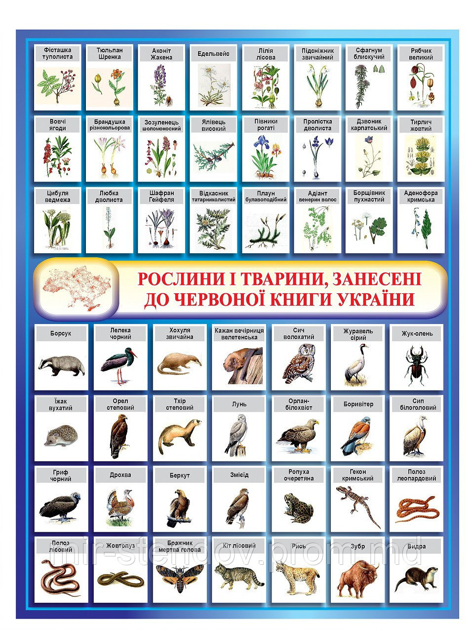 Плакат Красная книга Украины - фото 1 - id-p9522656