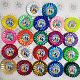 Значок Выпуск Пчёлка с розеткой наградной, фото 2