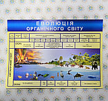 Плакат по Биологии Эволюция, фото 3