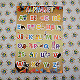 Английский алфавит, фото 2