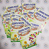 Диплом про закінчення дитячого садка Соняшник, фото 2