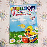 Диплом и значок именной для выпускника детского сада Ромашка группы Колосок, фото 2