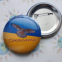 Значок Соколята