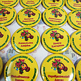 Значок Випускник групи Чебурашка, фото 4