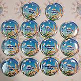 Значки для детского сада Колосок группы Ромашка, фото 4