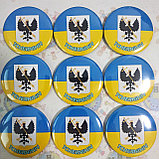 Значок Символика города Чернигов, фото 4