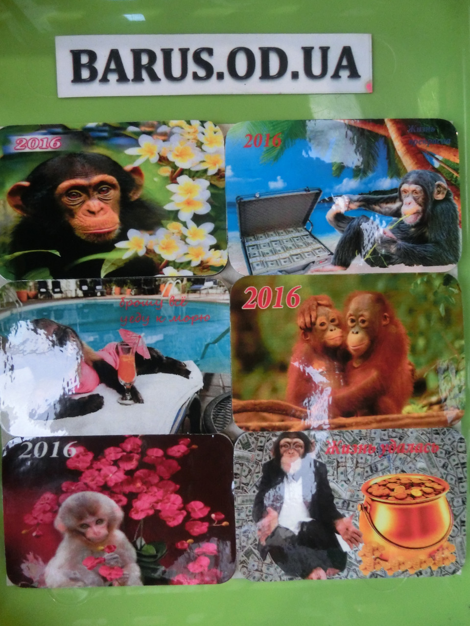 Магниты на холодильник год обезьяны 6 шт набор - фото 1 - id-p9704157