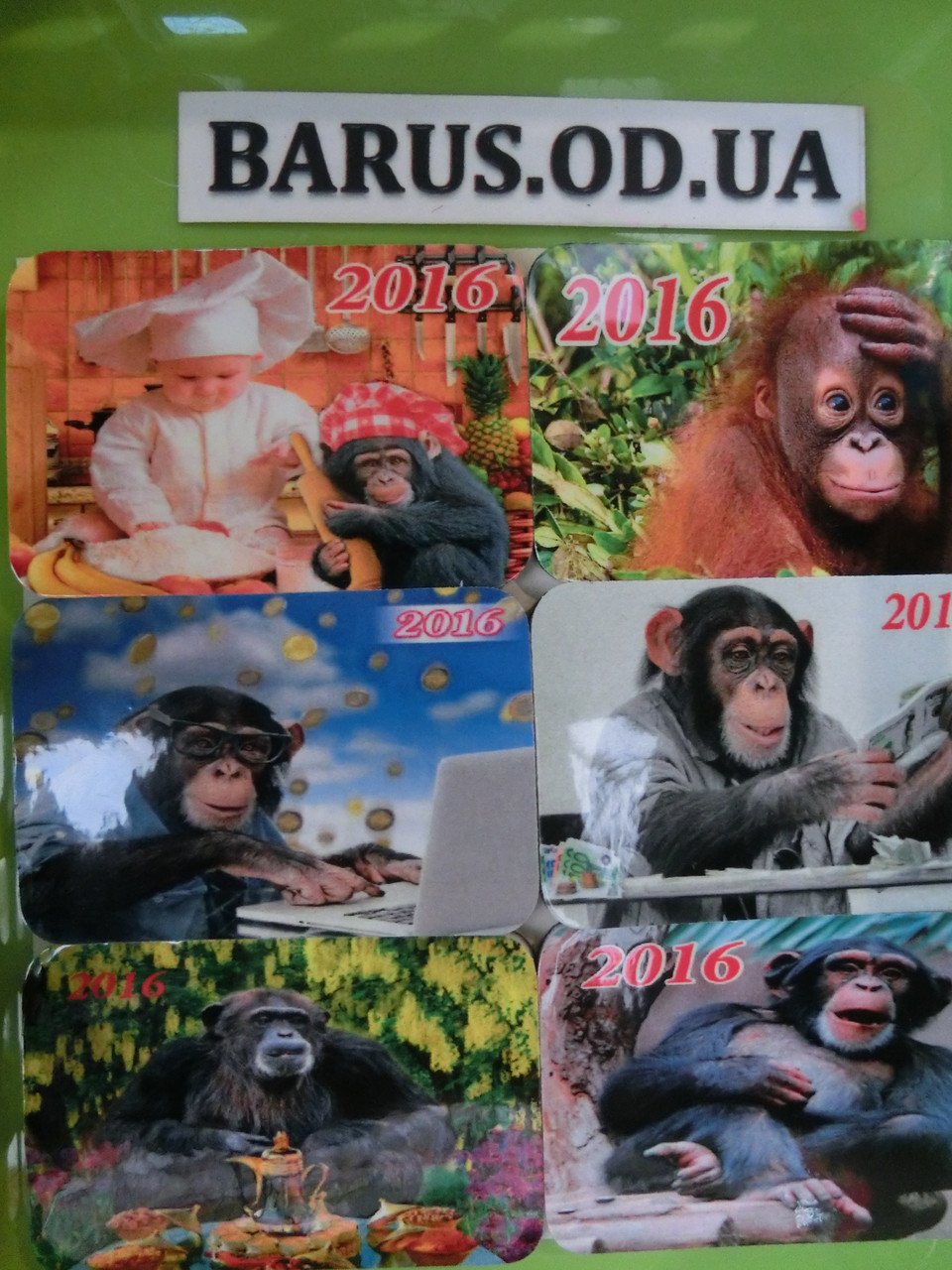 Магниты на холодильник год обезьяны 6 шт набор - фото 1 - id-p9704159
