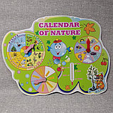 Календарь природы для кабинета английского языка Капитошка, фото 2
