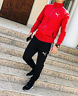 Мужской стильный спортивный костюм из структурного трикотажа лакоста: штаны и кофта, реплика Puma