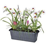 Балконный ящик Paglia 40см с контролем воды синий