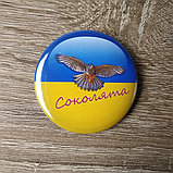 Значок Соколята, фото 3