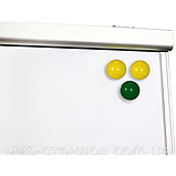 Флипчарт магнитно-маркерный на триноге 65х100 см Интеллект, фото 3