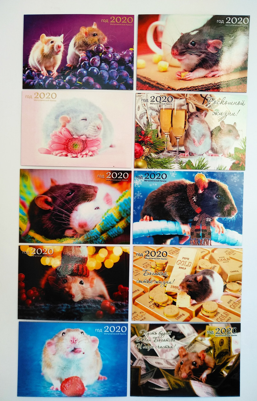 Магниты на холодильник Реклама Год Крысы 9*6 микс - фото 1 - id-p9946406