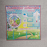 Календарь природы Градусник Солнышко, фото 3