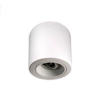 Потолочный светильник/корпус master LED, 1хGU10, сталь, матовый белый. ПОЛЬША!