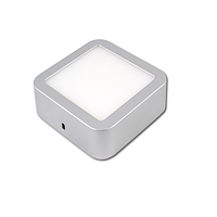 Потолочный светодиодный светильник, master LED, 6W, 4000K, накладной, Ortho, алюминий, квадратный, серебряный.
