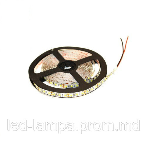 Светодиодная лента master LED, 12V, SMD 2835, 120 led/m, IP20, 1080Lm, 4500К, Premium. Польша - фото 1 - id-p10099852