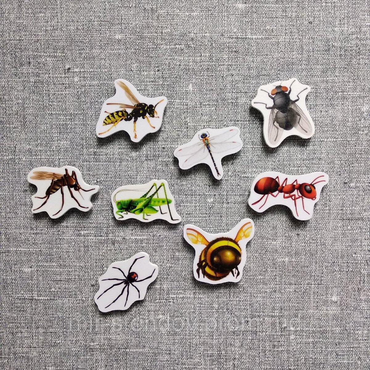 Насекомые. Магнитики развивающие. Набор, фото 1