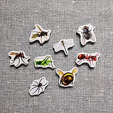 Насекомые. Магнитики развивающие. Набор