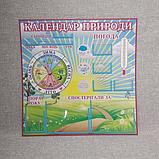 Календарь природы Градусник Солнышко, фото 4