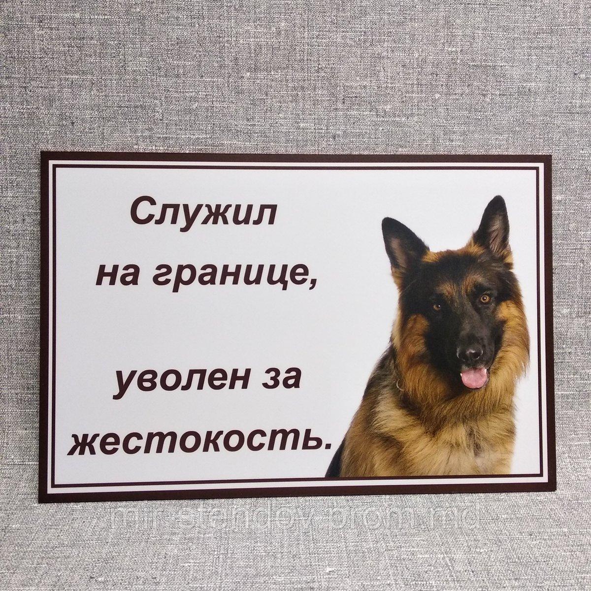 Табличка Осторожно, злая собака. Служил на границе. Уволен за жестокость, фото 1