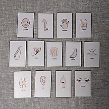 Набор развивающих магнитов "Части тела"