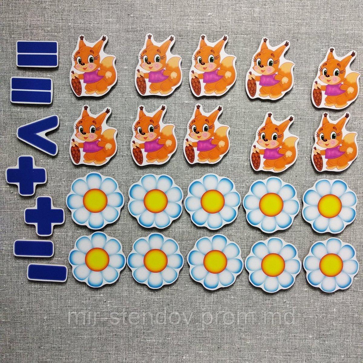 Магнитная математика Белочки и ромашки, фото 1