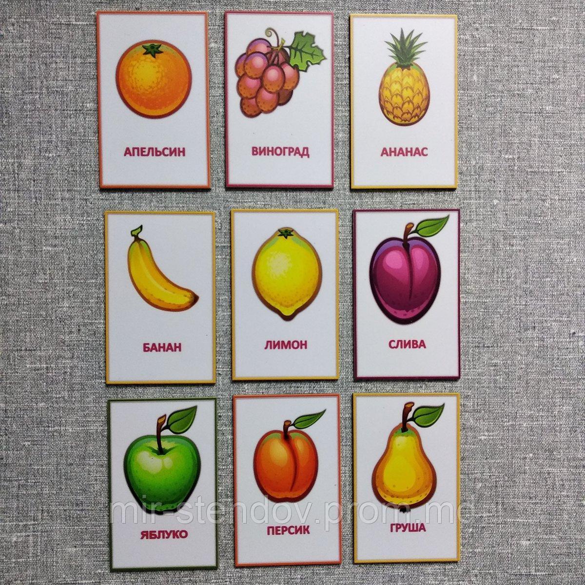 Набор обучающих магнитов Фрукты, фото 1
