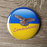 Значок Соколята, фото 4