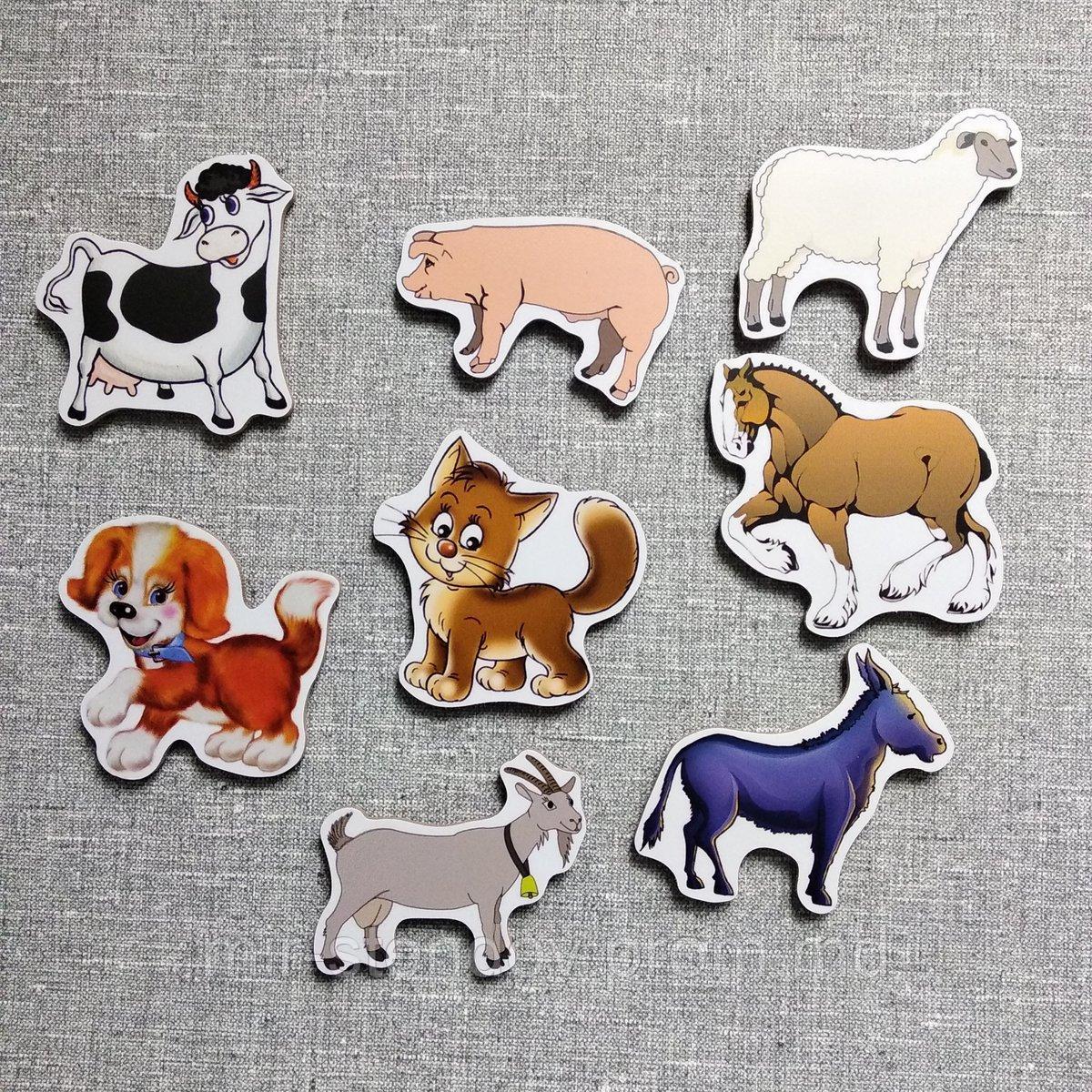 Магнитики обучающие Домашние животные, фото 1