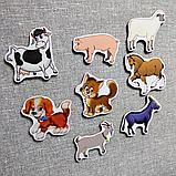 Магнитики обучающие Домашние животные, фото 2