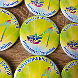 Значки с эмблемой "Учительская Туфля". Интеллект Украины, фото 3