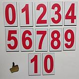 Цифры. Магнитные карточки, фото 2