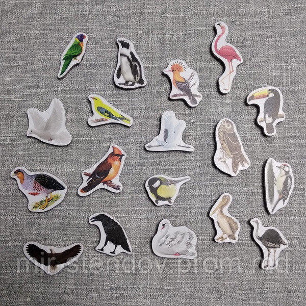 Птицы. Магнитики развивающие. Набор, фото 1