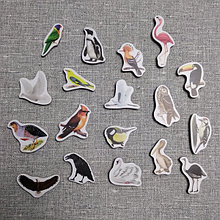 Птицы. Магнитики развивающие. Набор