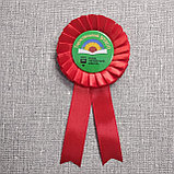 Значки с розетками и хвостиками для выпускников и первоклассников, фото 4