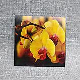 Наклейка на выключатель и розетку Орхидеи 2, фото 2