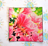 Наклейка на выключатель Розовые цветы, фото 2