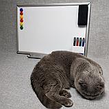 Набор для обучения и творчества "Эрудит-1", фото 2