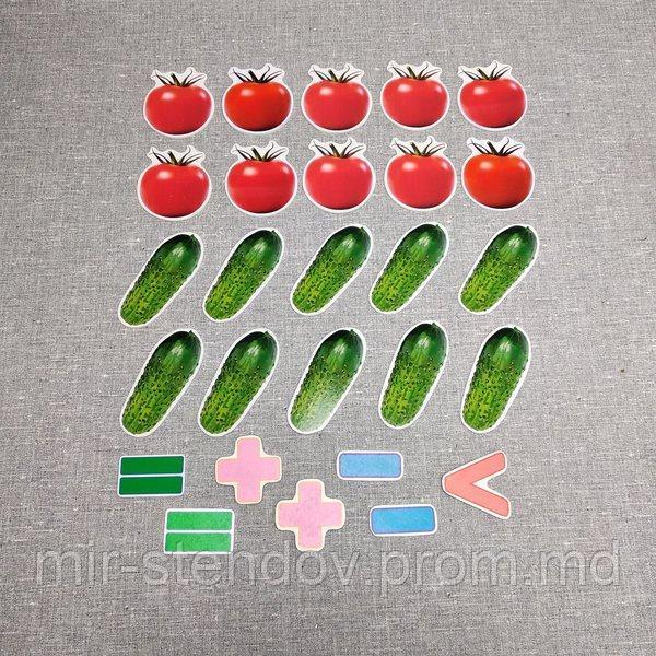 Магнитная математика Помидоры и огурцы, фото 1