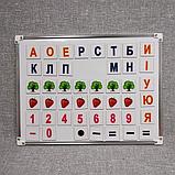 Магнитный набор для обучения грамоте, фото 5