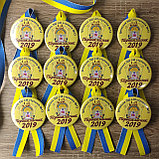 Значки Першокласник з стрічками. Символіка, фото 3