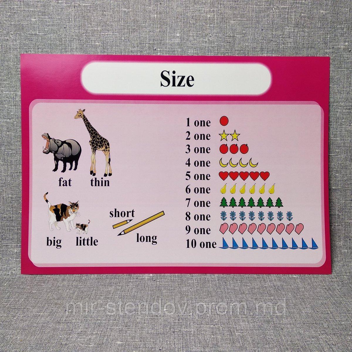 The size. Стенд для кабинета английского языка., фото 1