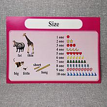 The size. Стенд для кабинета английского языка.