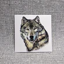 Наклейка на автомобиль Волк